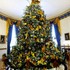 Мишель Обама, рождественская елка и другие украшения Белого дома. Фото: © REUTERS/Kevin Lamarque .